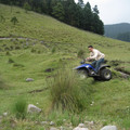 img_1030_1469507536_o.jpg